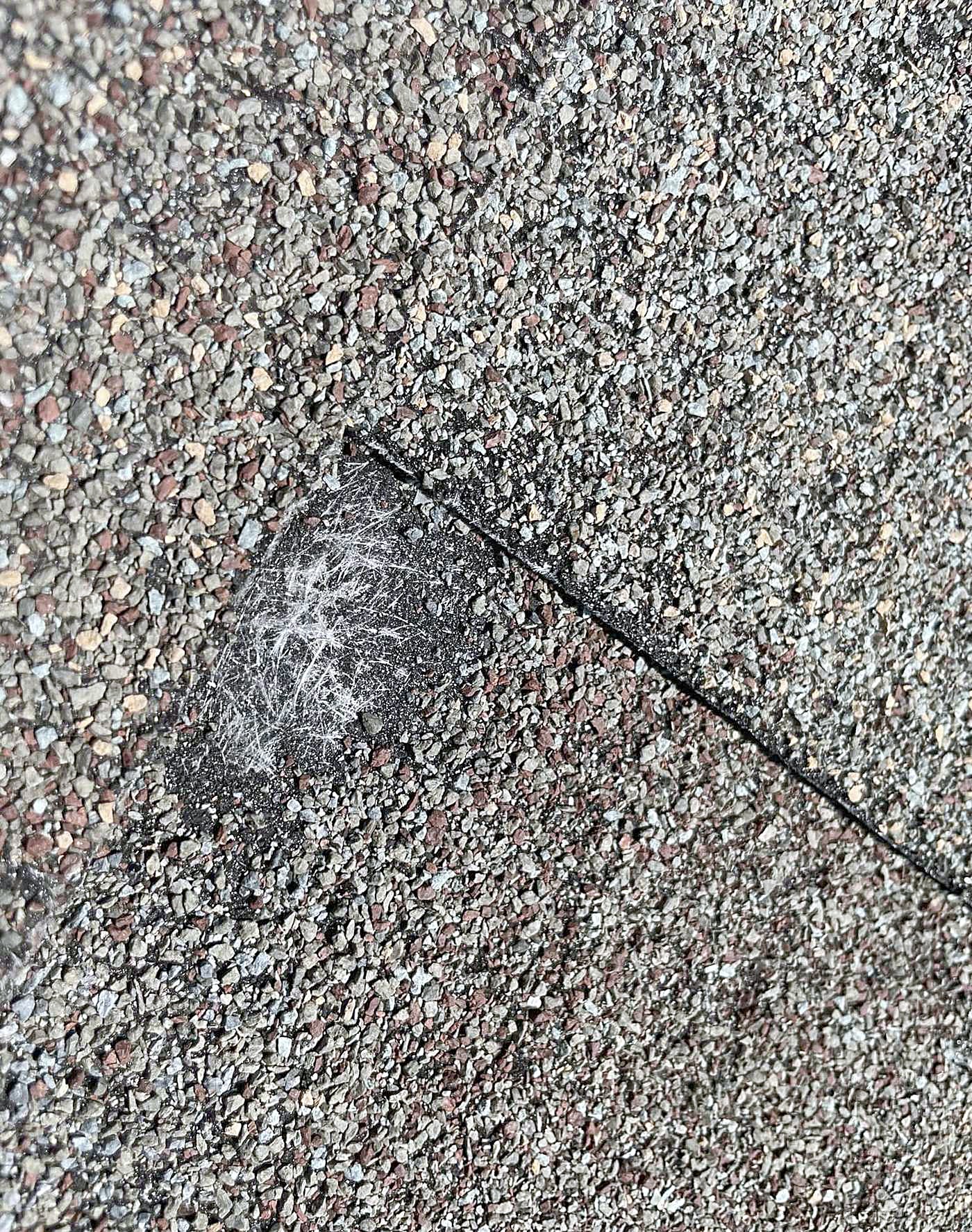 A close view of a shingle with granule loss and a split along the edge